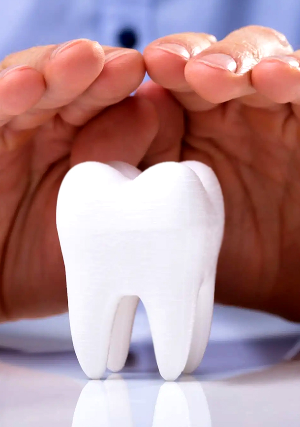 A tooth model being gently shielded by two hands, symbolizing protection and care from a trusted dentist.