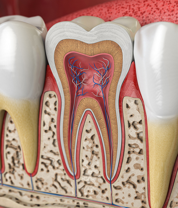 Root Canal Therapy Fort Worth TX - Flossophy Dental Studio